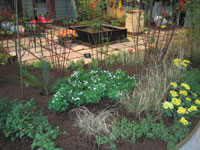 plant care